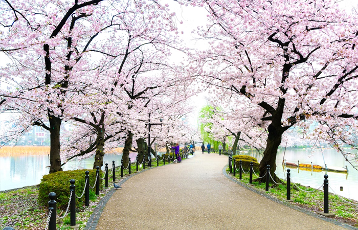Ueno-Park