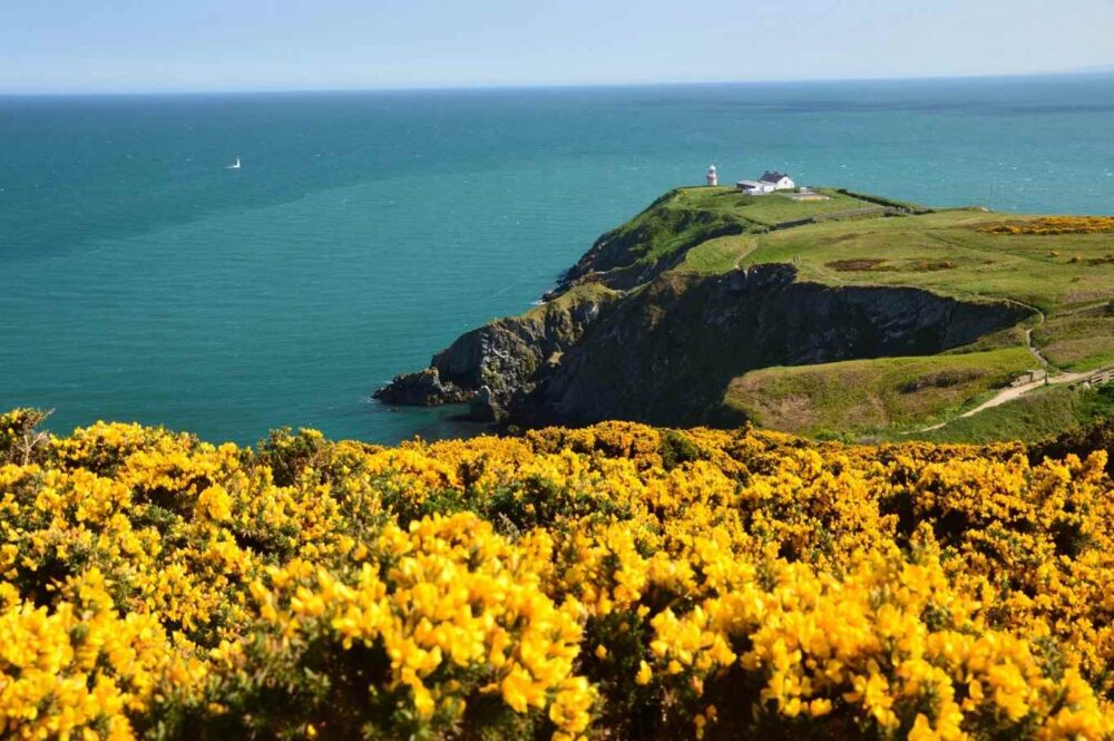 Ireland University tour: Autumn 2026