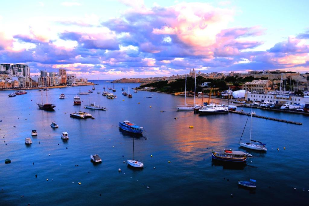 iels_malta_p_6