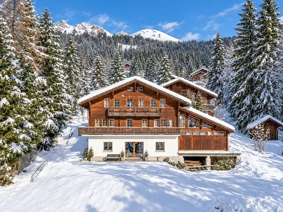 swiss-accommodation-01 Гірське шале Chalet Budokan у засніжених Альпах